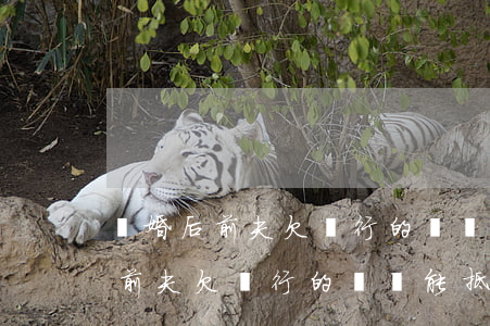離婚后前夫欠銀行的債還能抵押嗎-離婚后前夫欠銀行的債還能抵押嗎怎么辦