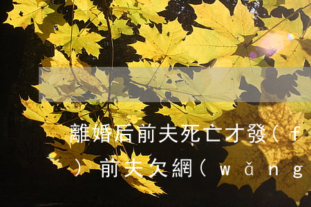 離婚后前夫死亡才發(fā)現(xiàn)前夫欠網(wǎng)貸-離婚后前夫死亡才發(fā)現(xiàn)前夫欠網(wǎng)貸的錢(qián)