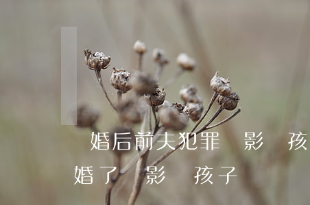離婚后前夫犯罪會影響孩子嗎(前夫有前科離婚了會影響孩子嗎)