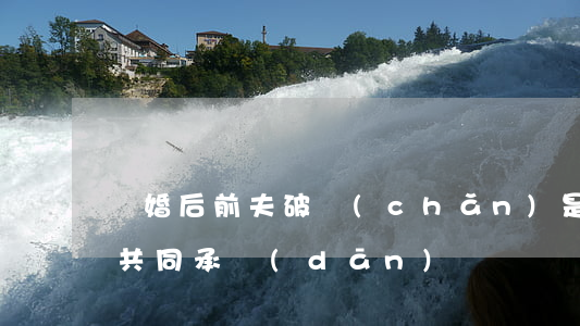 離婚后前夫破產(chǎn)是否需要前妻共同承擔(dān)