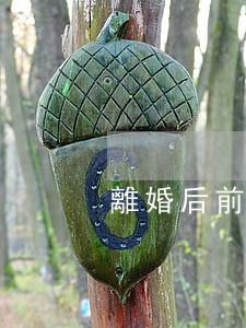 離婚后前夫給我買的房子怎么辦