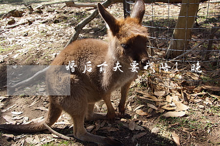 離婚后前夫要我陪1晚