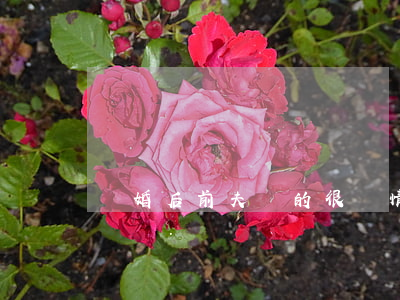 離婚后前夫變的很絕情