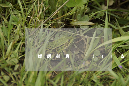 離婚后前妻斷聯(lián)我怎么辦