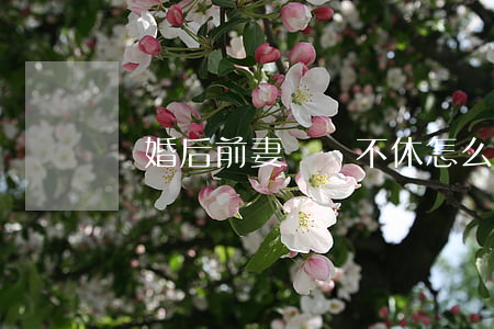 離婚后前妻糾纏不休怎么辦