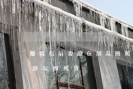 離婚后前妻總在朋友圈罵我(離婚后前妻總在朋友圈罵我)