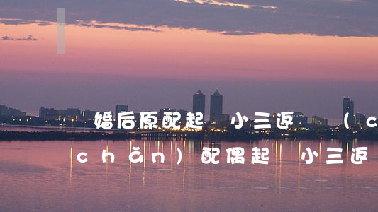 離婚后原配起訴小三返還財(cái)產(chǎn)(配偶起訴小三返還財(cái)產(chǎn))