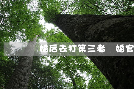 離婚后去打第三者(離婚官司會傳第三者嗎)