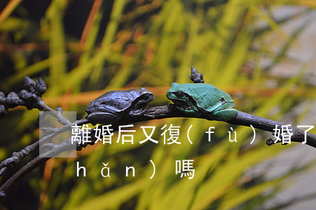 離婚后又復(fù)婚了還能辦理析產(chǎn)嗎
