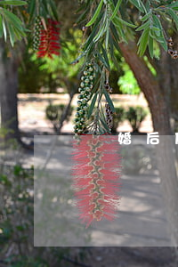離婚后反悔耍賴怎么辦