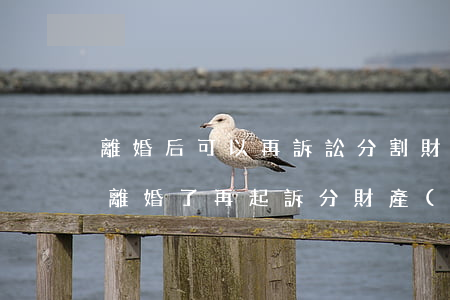 離婚后可以再訴訟分割財產(chǎn)嗎(離婚了再起訴分財產(chǎn)有用嗎)