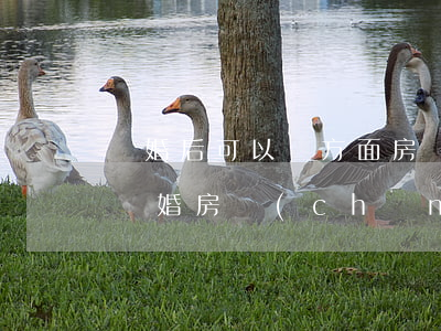 離婚后可以單方面房產(chǎn)更名嗎(離婚房產(chǎn)更名一定要雙方到場(chǎng)嗎)