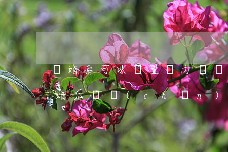 離婚后可以處置對方財產(chǎn)么(離婚后財產(chǎn)怎么分割?)