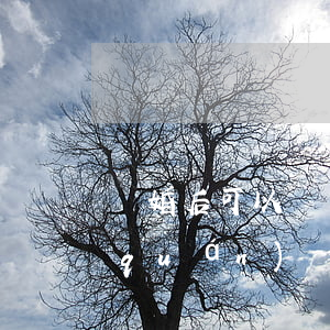 離婚后可以訴訟變更撫養(yǎng)權(quán)嗎(剛離婚可以起訴變更撫養(yǎng)權(quán)嗎)