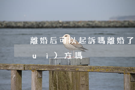 離婚后可以起訴嗎(離婚了還可以起訴對(duì)方嗎?)