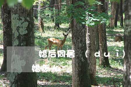 離婚后同居對(duì)方不談復(fù)婚怎么辦