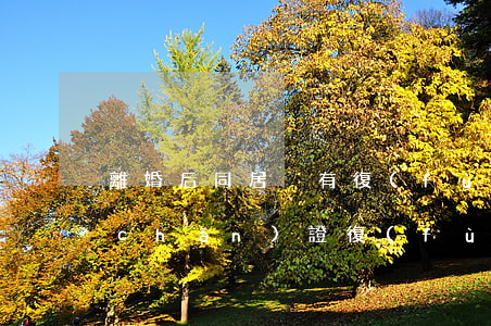 離婚后同居沒有復(fù)婚怎么辦房產(chǎn)證(復(fù)婚后,之前離婚的房產(chǎn)沒有變更怎么辦)