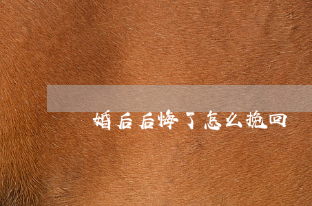 離婚后后悔了怎么挽回