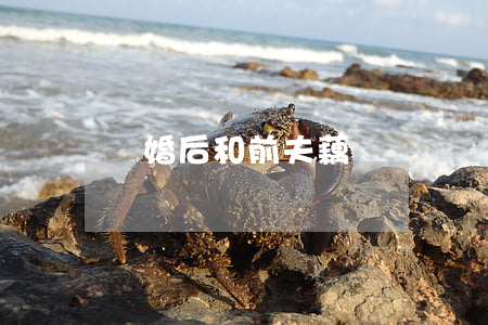 離婚后和前夫藕斷絲連