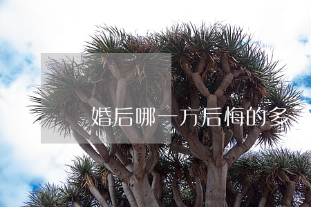 離婚后哪一方后悔的多
