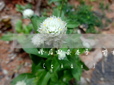 離婚后四套房子給前妻(再婚丈夫與前妻的房產(chǎn))