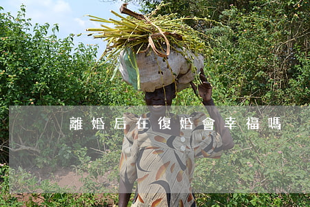 離婚后在復婚會幸福嗎