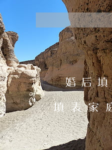 離婚后填寫的家庭成員是怎么填(離婚后孩子填表家庭成員如何寫)