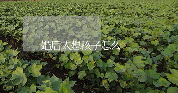 離婚后太想孩子怎么辦