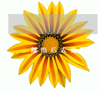 離婚后夫妻財產(chǎn)分配