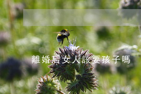 離婚后女人該要孩子嗎
