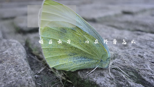 離婚后女方戶口在抖音怎么辦