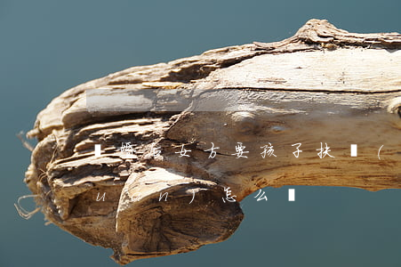 離婚后女方要孩子扶養(yǎng)權(quán)怎么辦