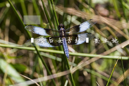 離婚后女方起訴要土地