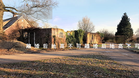 離婚后她高不可(離婚后她高不可)