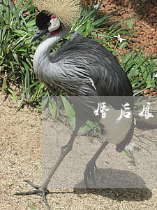 離婚后娘家人不讓落戶怎么辦