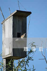 離婚后婆家不讓看孩子該怎么辦