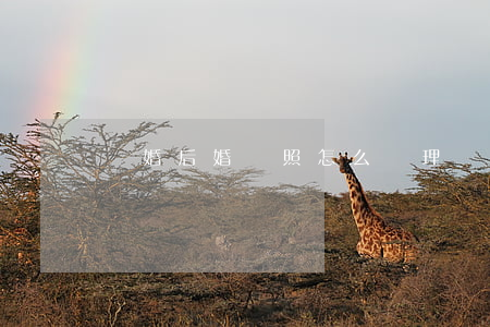 離婚后婚紗照怎么處理