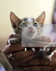離婚后孩子上戶口需要什么手續(xù)