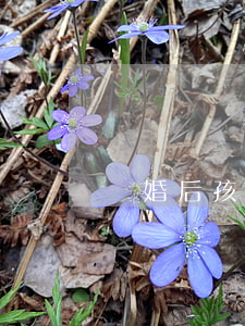 離婚后孩子不跟媽姓怎么辦