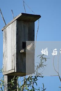 離婚后孩子就學(xué)怎么辦
