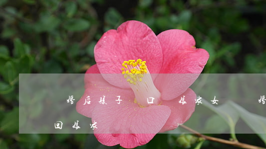 離婚后孩子戶口遷娘家(女兒離婚后戶口能遷回娘家嗎)