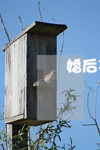 離婚后孩子改名不改姓