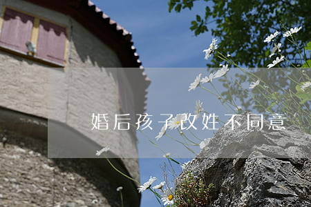離婚后孩子改姓不同意