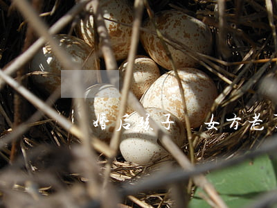 離婚后孩子歸女方老了該怎么辦