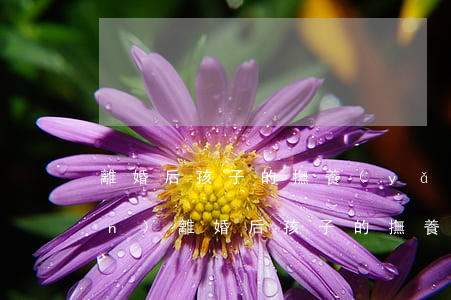 離婚后孩子的撫養(yǎng)權(quán)(離婚后孩子的撫養(yǎng)權(quán)可以更改嗎?)
