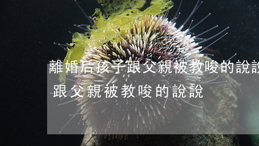 離婚后孩子跟父親被教唆的說說(離婚后孩子跟父親被教唆的說說)