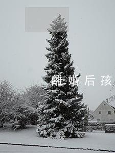 離婚后孩子身體健康怎么辦