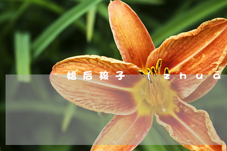 離婚后孩子轉(zhuǎn)學可以嗎
