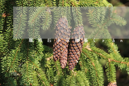 離婚后小孩撫養(yǎng)費(fèi)