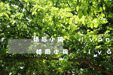 離婚后小孩撫養(yǎng)費(fèi)(離婚后小孩撫養(yǎng)費(fèi)一直沒(méi)給有沒(méi)有什么問(wèn)題)